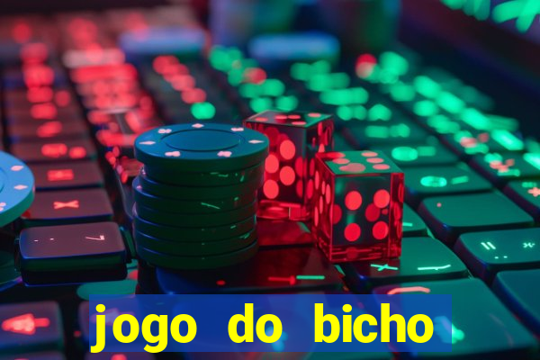 jogo do bicho crash bingo